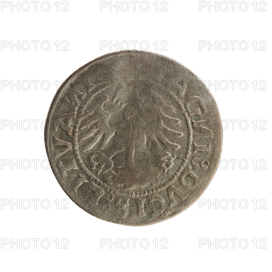 Lithuanian half-grosz, Sigismund I the Old (King of Poland; 1506–1548). Obverse: Pogon (Lithuanian