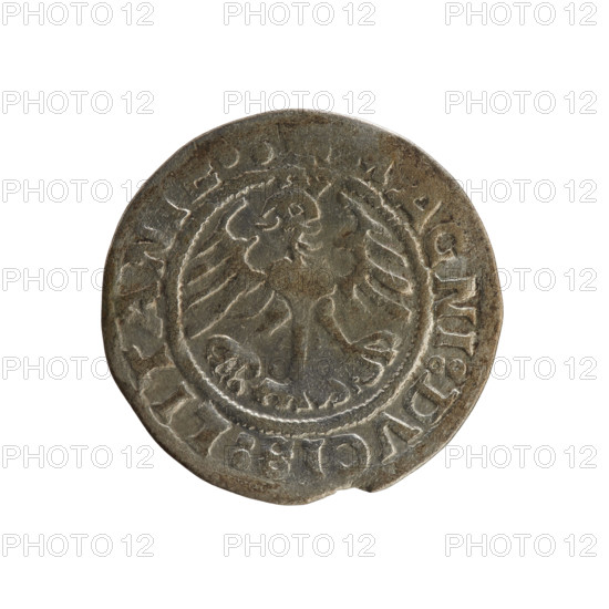 Lithuanian half-grosz, Sigismund I the Old (king of Poland; 1506–1548). Polish coin, 1519. Obverse: