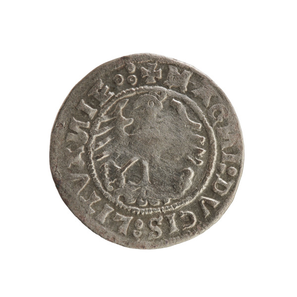 Lithuanian half-grosz, Sigismund I the Old (king of Poland; 1506–1548). Coin (1519). Obverse: