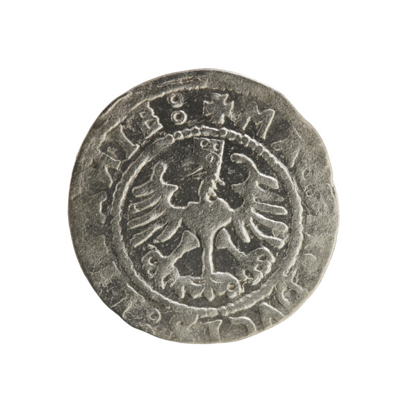 Lithuanian half-grosz, Sigismund I the Old (King of Poland; 1506–1548). Obverse: Pogon (Lithuanian