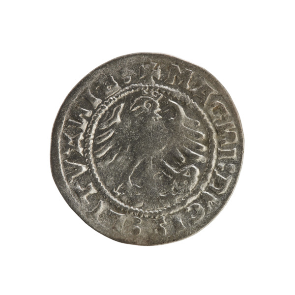 Lithuanian half-grosz, Sigismund I the Old (king of Poland; 1506–1548). Obverse: Pogon (Lithuanian