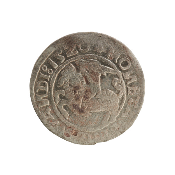 Lithuanian half-grosz, Sigismund I the Old (King of Poland; 1506–1548). Obverse: Pogon (Lithuanian