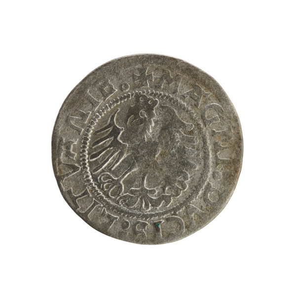 Lithuanian half-grosz, Sigismund I the Old (king of Poland; 1506–1548). Obverse: Pogon (Lithuanian