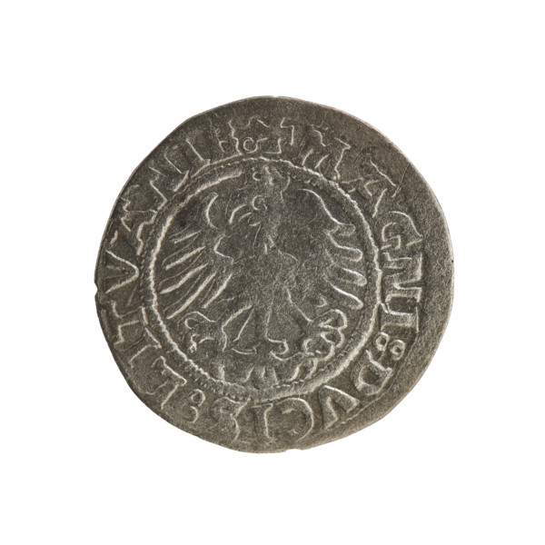 Lithuanian half-grosz, Sigismund I the Old (king of Poland; 1506–1548); Polish coin, Jagiellon