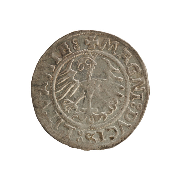 Lithuanian half-grosz of Sigismund I the Old (reigned as king of Poland 1506–1548), 1521. Silver