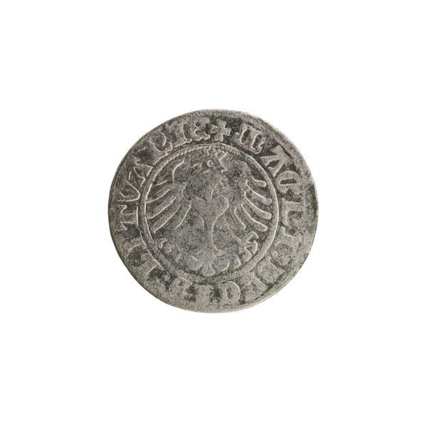 Lithuanian half-grosz, Sigismund I the Old (King of Poland; 1506–1548). Obverse: Pogon (Lithuanian