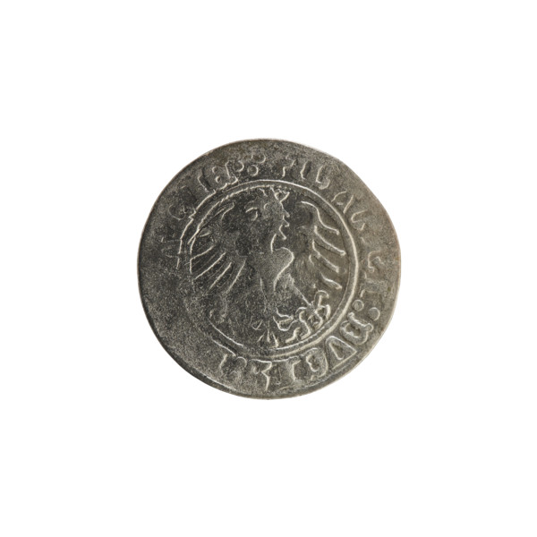 Lithuanian half-grosz, Sigismund I the Old (King of Poland; 1506–1548). Obverse: Pogon (Lithuanian