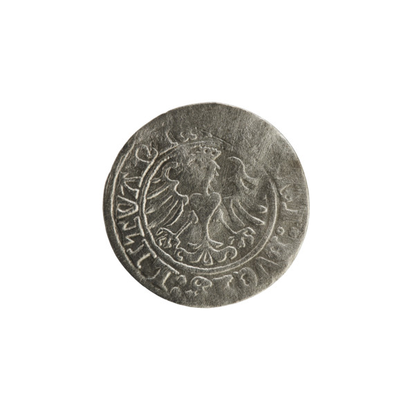 Lithuanian half-grosz, Sigismund I the Old (King of Poland; 1506–1548). Obverse: Pogon (mounted
