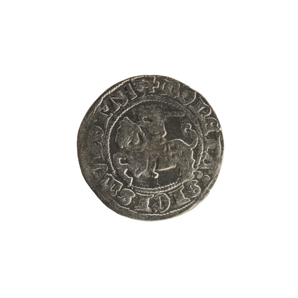 Lithuanian half-grosz, Sigismund I the Old (King of Poland; 1506–1548). Coin (1513). Obverse: Pogon