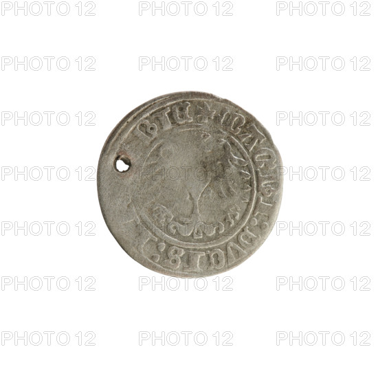 Lithuanian half-grosz, Sigismund I the Old (King of Poland; 1506–1548), 1513. Obverse: Pogon