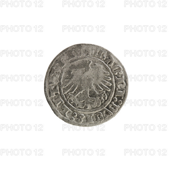 Lithuanian half-grosz, Sigismund I the Old (King of Poland; 1506–1548), 1513. Obverse: Pogon