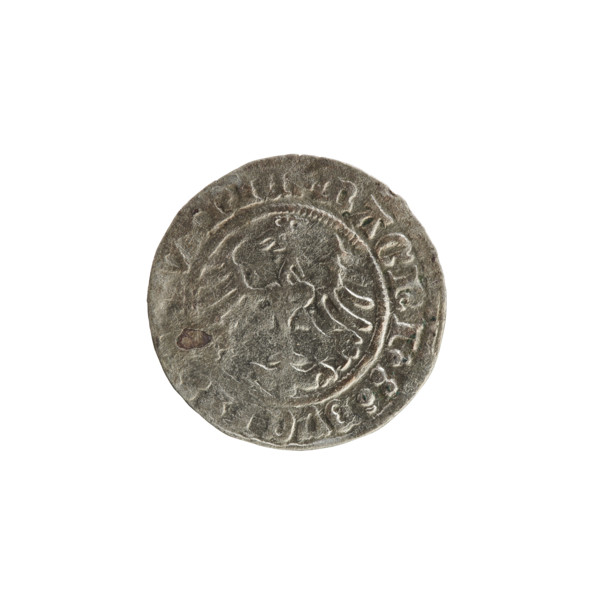 Lithuanian half-grosz, Sigismund I the Old (King of Poland; 1506–1548). Obverse: Pogon (Lithuanian
