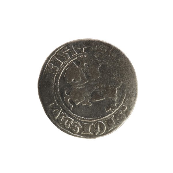 Lithuanian half-grosz, Sigismund I the Old (King of Poland; 1506–1548). Silver coin, 1514. Obverse: