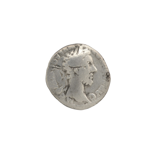Denarius of Commodus (reigned 177–192), obverse: head of Commodus in laurel wreath to right,