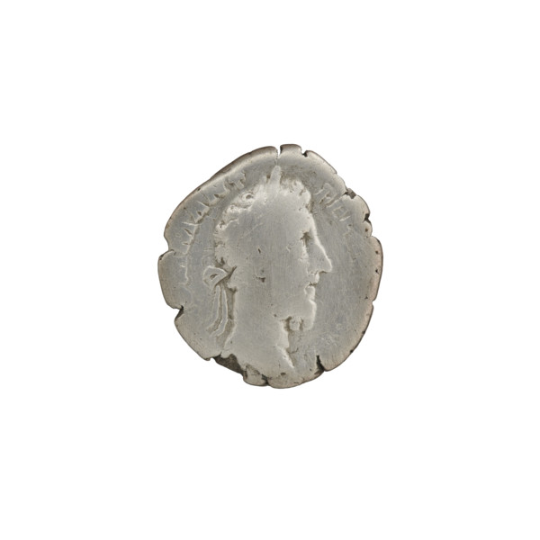 Denarius, Commodus (161–192; Roman emperor 177–192). Obverse: head of Commodus with laurel wreath