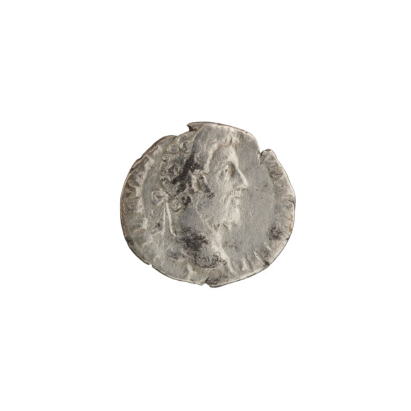 Denarius of Commodus (161–192; Roman emperor 177–192). Obverse: Head of Commodus in a laurel wreath