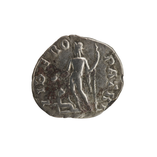 Denarius depicting Apollo and Septimius Severus; obverse: Head of Septimius Severus with a laurel