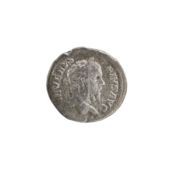 Denarius, silver coin (210 CE). Obverse: Head of Septimius Severus (Roman emperor, 146–211) in a