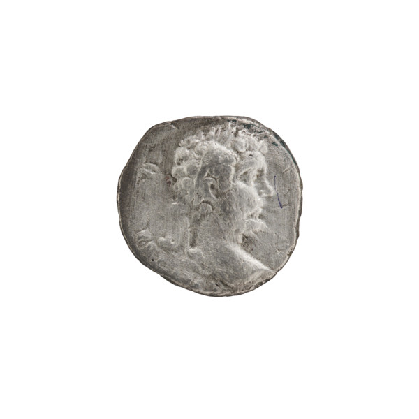 Denarius, Septimius Severus (146–211; Roman emperor 193–211), issuer: Septimius Severus. Obverse: