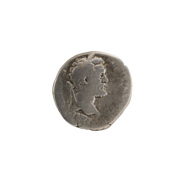 Denarius of Septimius Severus (146–211; Roman emperor 193–211). Obverse: Head of Septimius Severus