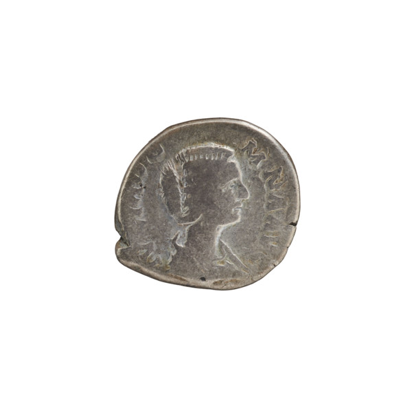 Denarius of Julia Domna (ca. 160–217; Roman empress 193–211). Obverse: IVLIA DOMNA AVG — bust of