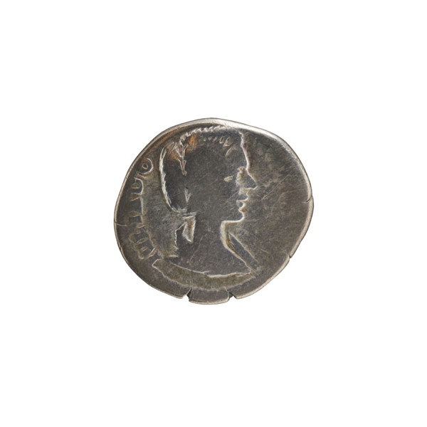 denarius, Julia Domna (ca. 160–217; Roman empress 193–211). Obverse: IVLIADO M, bust of Julia Domna