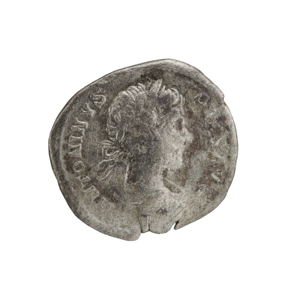 Denarius, Caracalla (188–217; Roman emperor 198–217). Obverse: ANTONINVS PIVS AVG — Head of