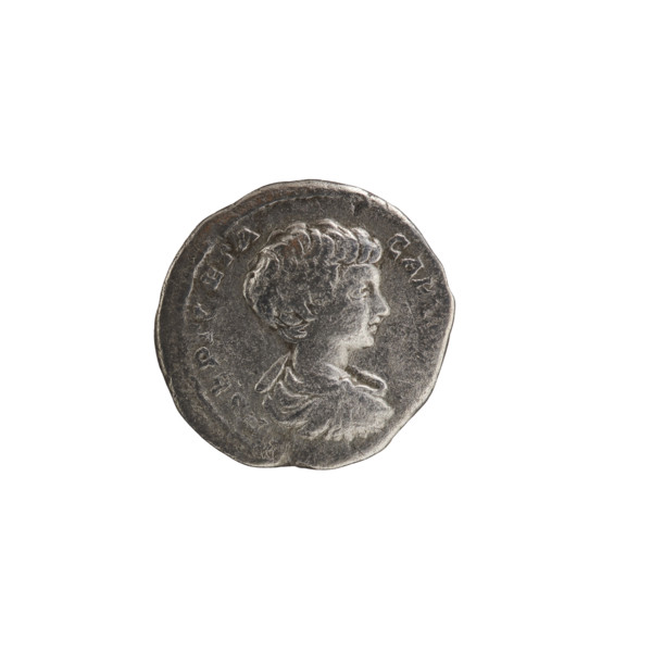 Denarius, Geta (189–212; Roman emperor 209–212) (caesar). Obverse: PSEPTGETA CAESPON, bust of Geta