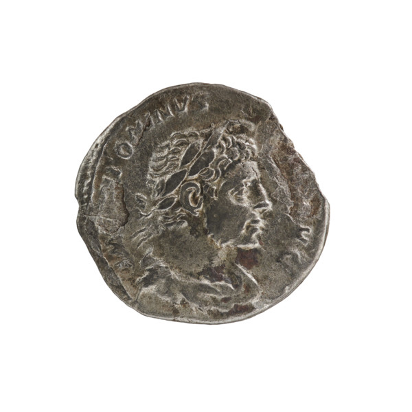 Denarius, Elagabalus (reigned 218–222). Obverse: IMP TONINVS AVG — Bust of Elagabalus with laurel