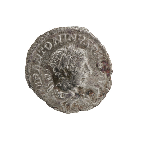 Denarius, Elagabalus (reigned 218–222). Obverse: IMP ANTONINVS PIVS AVG — Bust of Elagabalus with