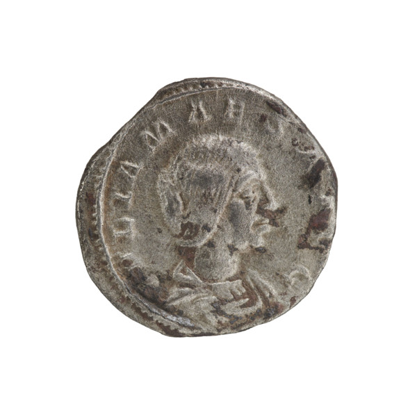 Denarius, Elagabalus (reigned 218–222). Obverse: IVLIAMAESAAVG — Draped bust of Julia Maesa facing