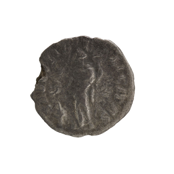 denarius, Elagabalus (204–222; Roman emperor 218–222). Obv.: IVLIAMAESAAVG — Draped bust of Julia