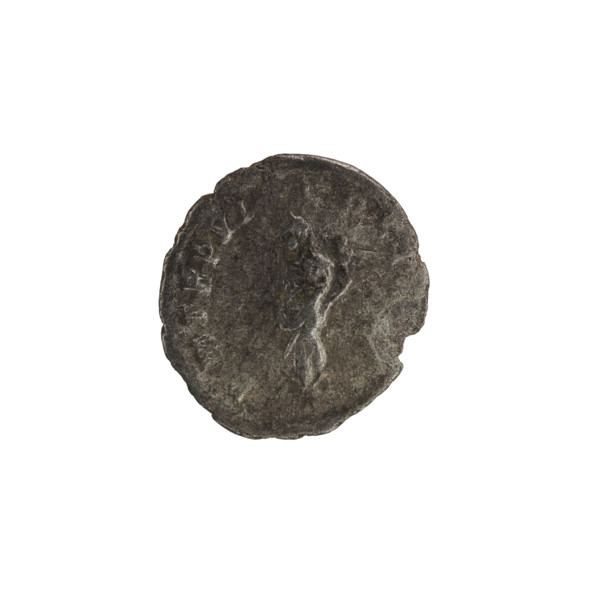 Denarius, Alexander Severus (208–235; Roman emperor 222–235). Obverse: Bust of Alexander Severus