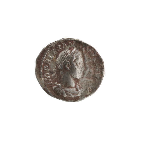 denarius of Alexander Severus (Roman emperor 222–235), obverse: bust of Alexander Severus; reverse: