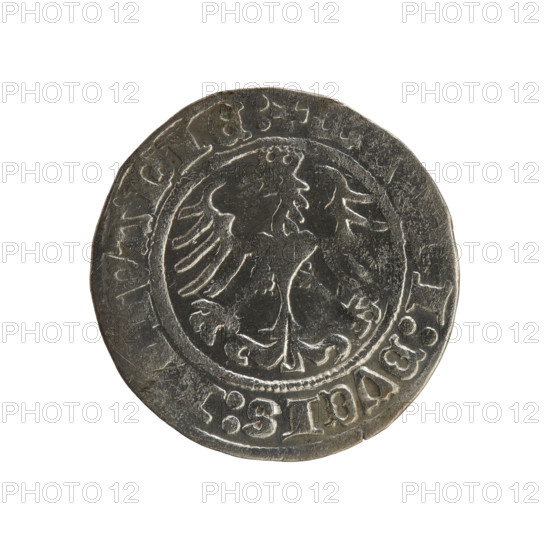 Lithuanian half-grosz, Sigismund I the Old (king of Poland; 1506–1548). R8 (rarity). Polish coin,