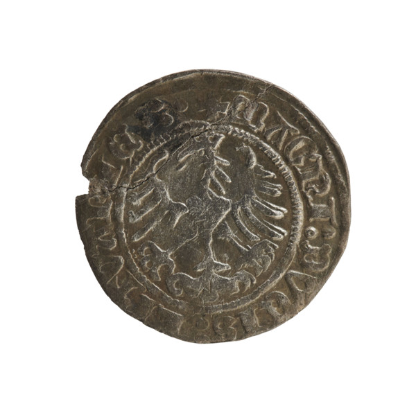 Lithuanian half-grosz, Sigismund I the Old (king of Poland; 1506–1548). Obverse: Pogon (mounted