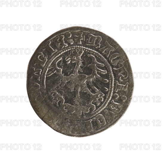 Lithuanian half-grosz, Sigismund I the Old (king of Poland; 1506–1548), Jagiellon dynasty. Obverse: