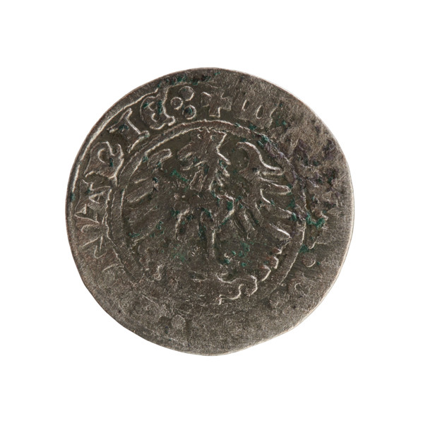 Lithuanian half-grosz, Sigismund I the Old (King of Poland; 1506–1548), Jagiellon dynasty. Obverse: