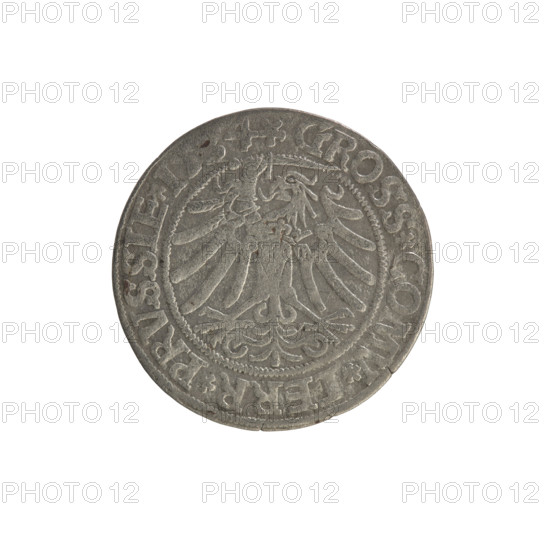 Prussian grosz, Sigismund I the Old (King of Poland; 1506–1548). Copper coin (grosz), 1534, Torun,