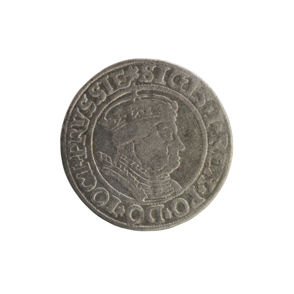 Prussian grosz, Sigismund I the Old (King of Poland; 1506–1548); Polish coin, Jagiellonian dynasty.
