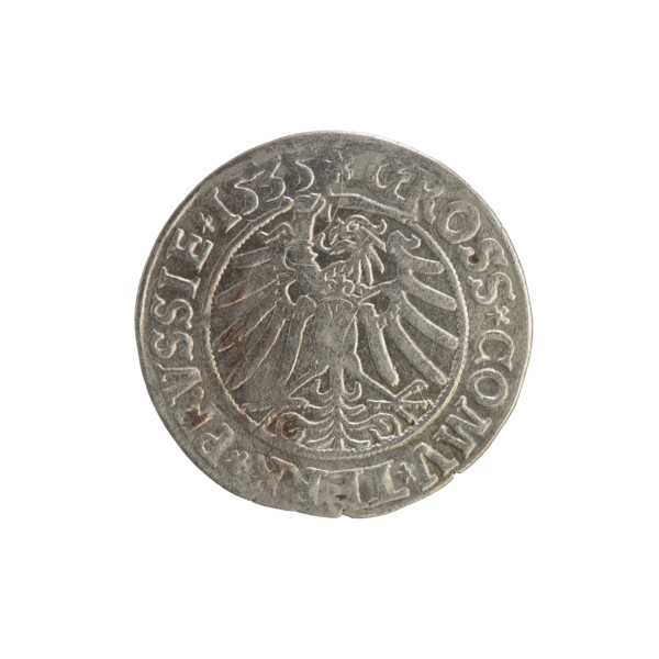 Prussian grosz, Sigismund I the Old (King of Poland; 1506–1548). Obverse: Crowned male bust in
