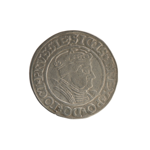 Prussian grosz, Sigismund I the Old (King of Poland; 1506–1548). Obverse: Crowned male bust in