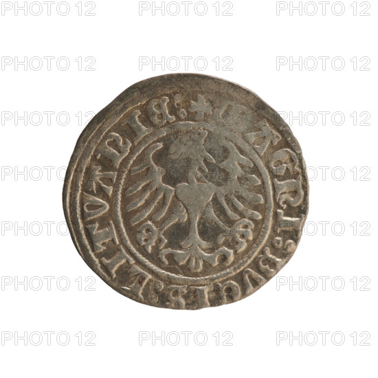 Lithuanian half-grosz, Sigismund I the Old (king of Poland; 1506–1548). Polish coin of the