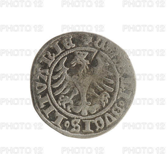 Lithuanian half-grosz, Sigismund I the Old (King of Poland; 1506–1548). Obverse: Pogon (mounted