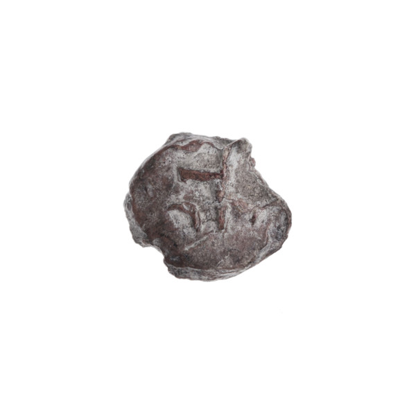 Drohiczyn seal; guild seals; customs seals; town seals; customs house seals; official seals; seals