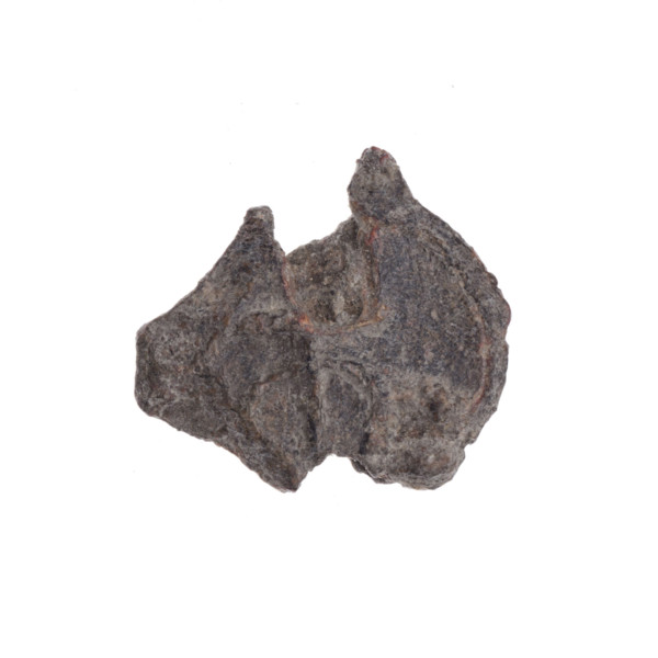 Fragment of a double-sided Drohiczyn seal. On one side, an eagle with its head turned to the left;