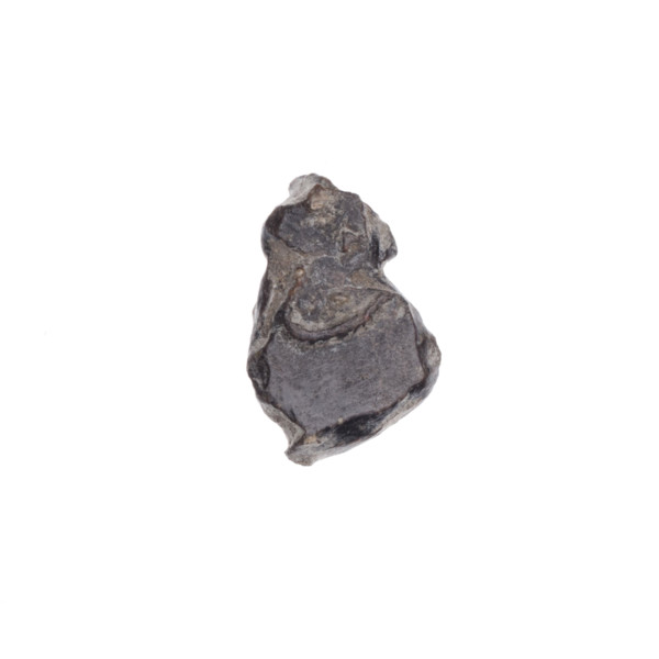 Drohiczyn seal; guild seals; town seals; customs house seals; official seals; customs seals; seals