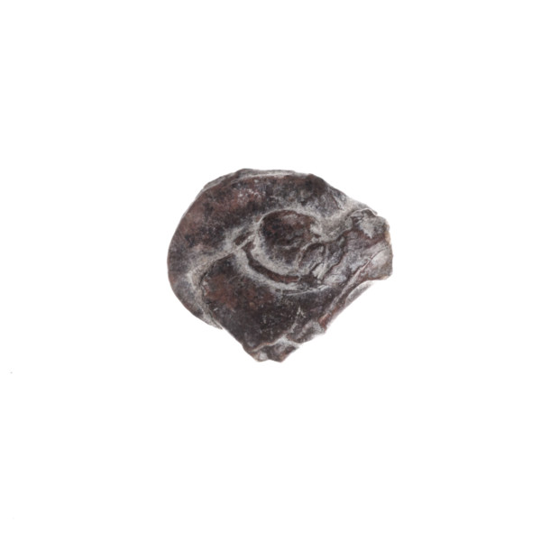 Fragment of a double-sided Drohiczyn seal. On one side a cross with one arm ending in a triangle
