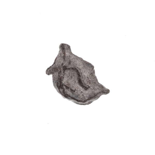 Drohiczyn seal — fraction of a double-sided seal. One side: a bident with a crossed-out right arm.