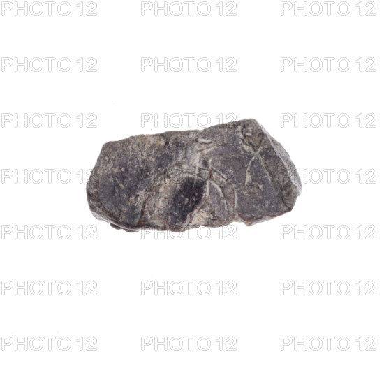 Fragment of a double-sided Drohiczyn seal. On one side, fragments of a two-toothed figure are